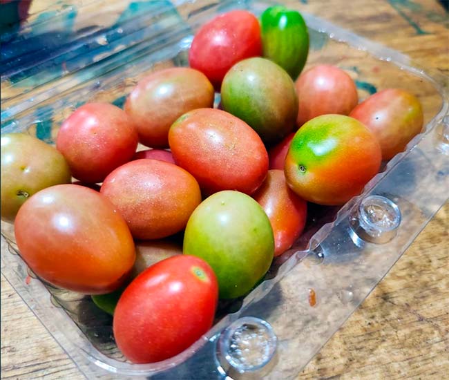 Tomate Orgânico